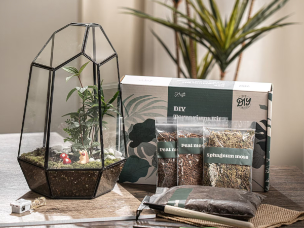 Wardian Case Terrarium Workshop