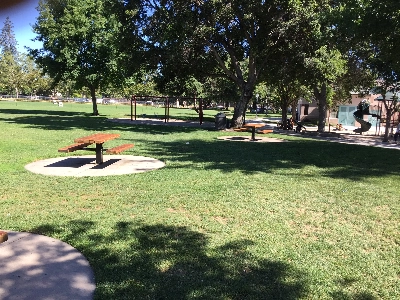 Downtown Mountain View Treasure Hunt Experiences in Mountain View - Featured