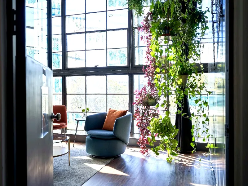 Stunning Lounge for Celebrations - Gallery image