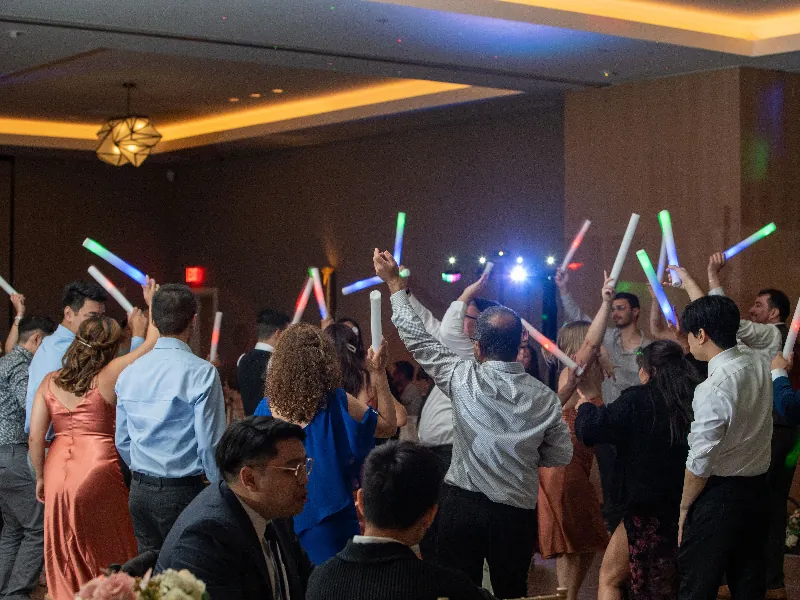Professional Bilingual DJ and MC Services - Gallery image