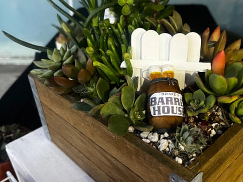 Spring Garden Succulent (Instructor Travels) - Gallery image