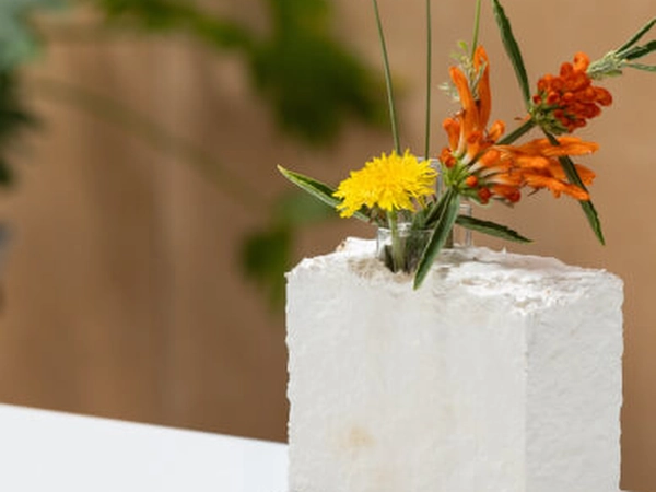 Fungi Biofabrication: Crafting Mycelium Bud Vases