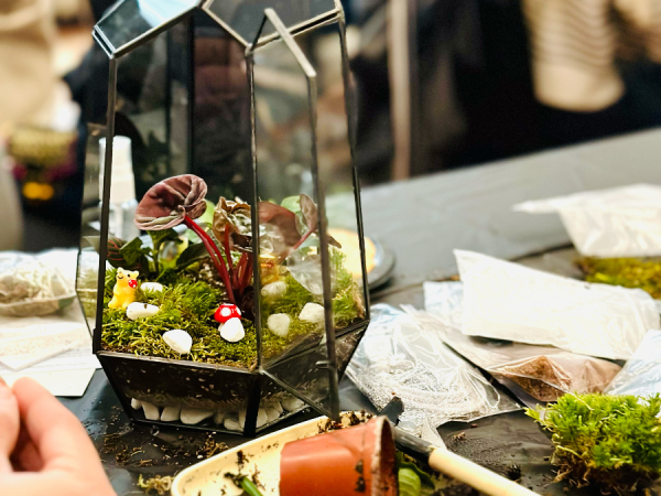 Wardian Case Terrarium Workshop
