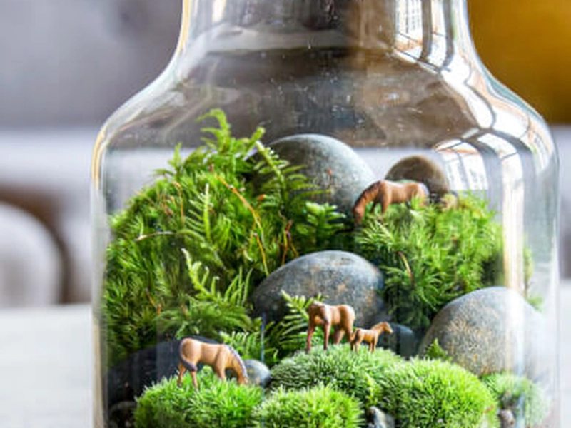 Terrarium Creation Workshop for Team Building - Gallery image