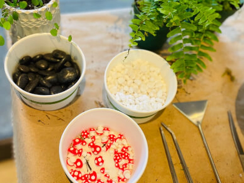 Terrarium Creation Workshop for Team Building - Gallery image