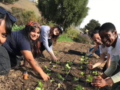 Volunteer & Garden for a Cause โ Grow Food, Grow Community Experiences in San Francisco - Featured