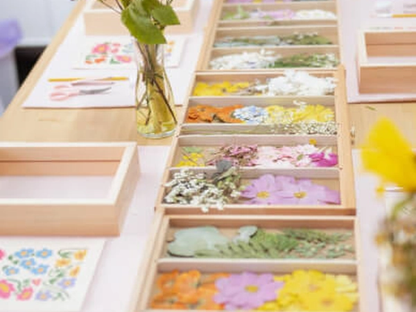 Pressed Flower Frame Artistry (Instructor Travels)