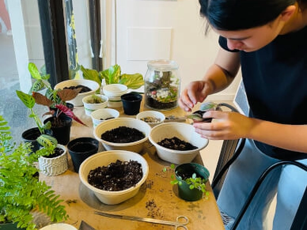 Terrarium Creation Workshop for Team Building - Baby Shower in San Francisco - Featured image