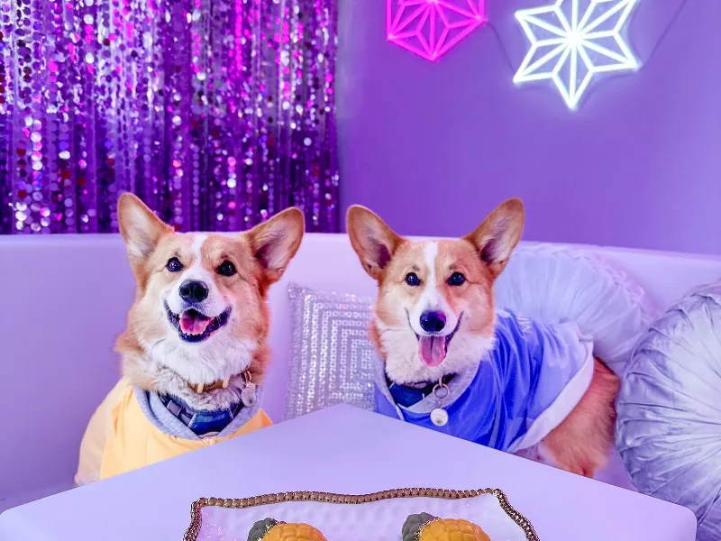 MISHKA Private Event Lounge - Gallery image