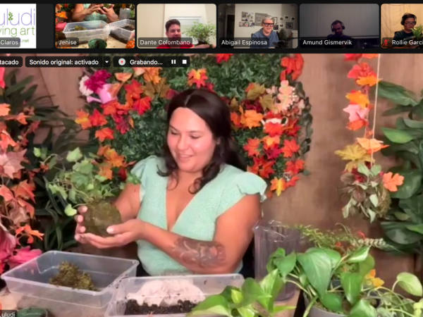 Virtual Kokedama Workshop : Moss Ball Plant Sculpture - Team Building - Featured image