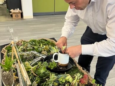 Succulent Arrangement Workshop for (Instructor Travels) Experiences - Featured