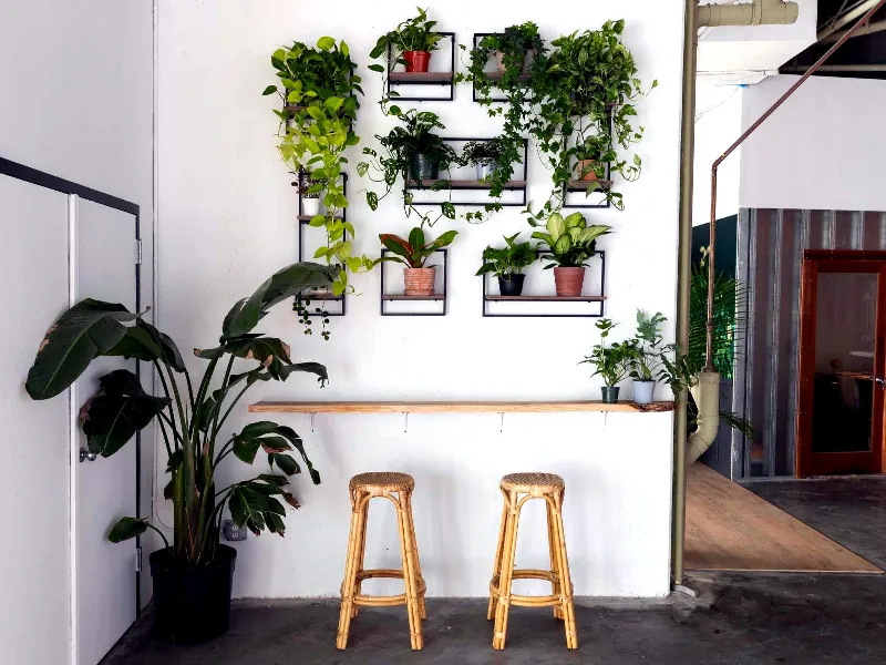 Elegant Photo & Video Studio for Celebrations - Gallery image