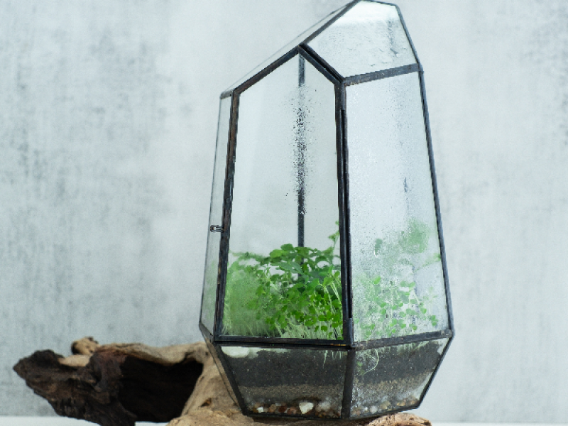 Sip & Terrarium Workshop in NYC - Featured image