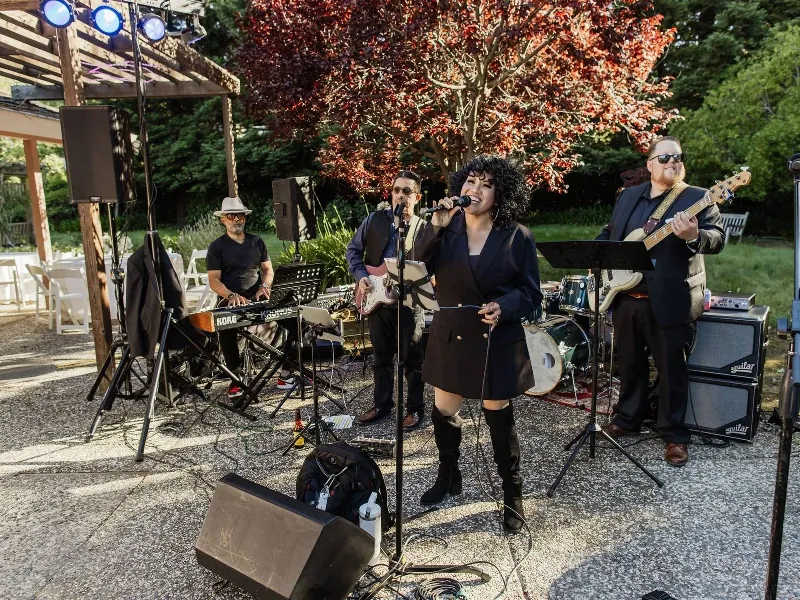 Bay Area Nine Piece Live Dance Band with Full Horn Section - Gallery image